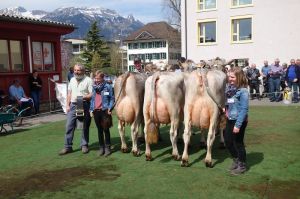 k-12Schneuter ltere Blooming BIRKE mitte  Markus Waser